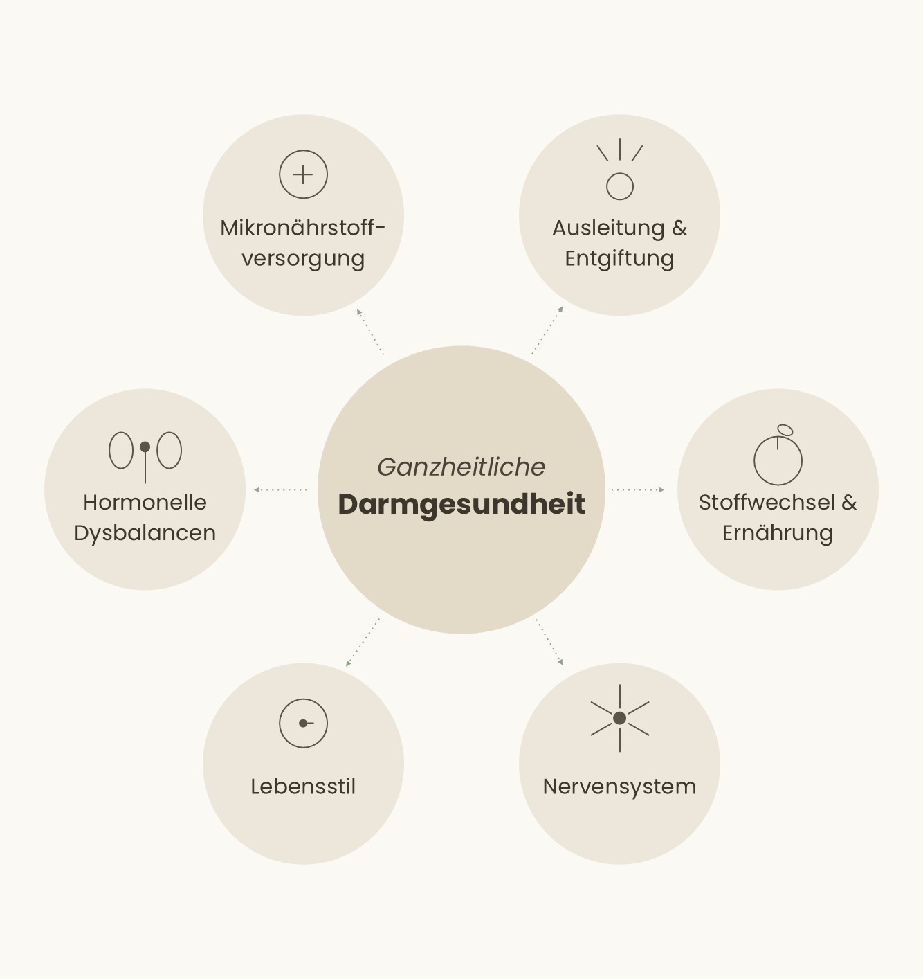 Schaubild Darmgesundheit